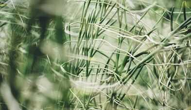 Hogyan készítsünk szerencsés amulettet saját kezűleg