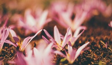 hogyan készítsünk saját kezűleg szerencsés amulettet